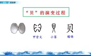 开云体育登录-贝林厄姆身体数据